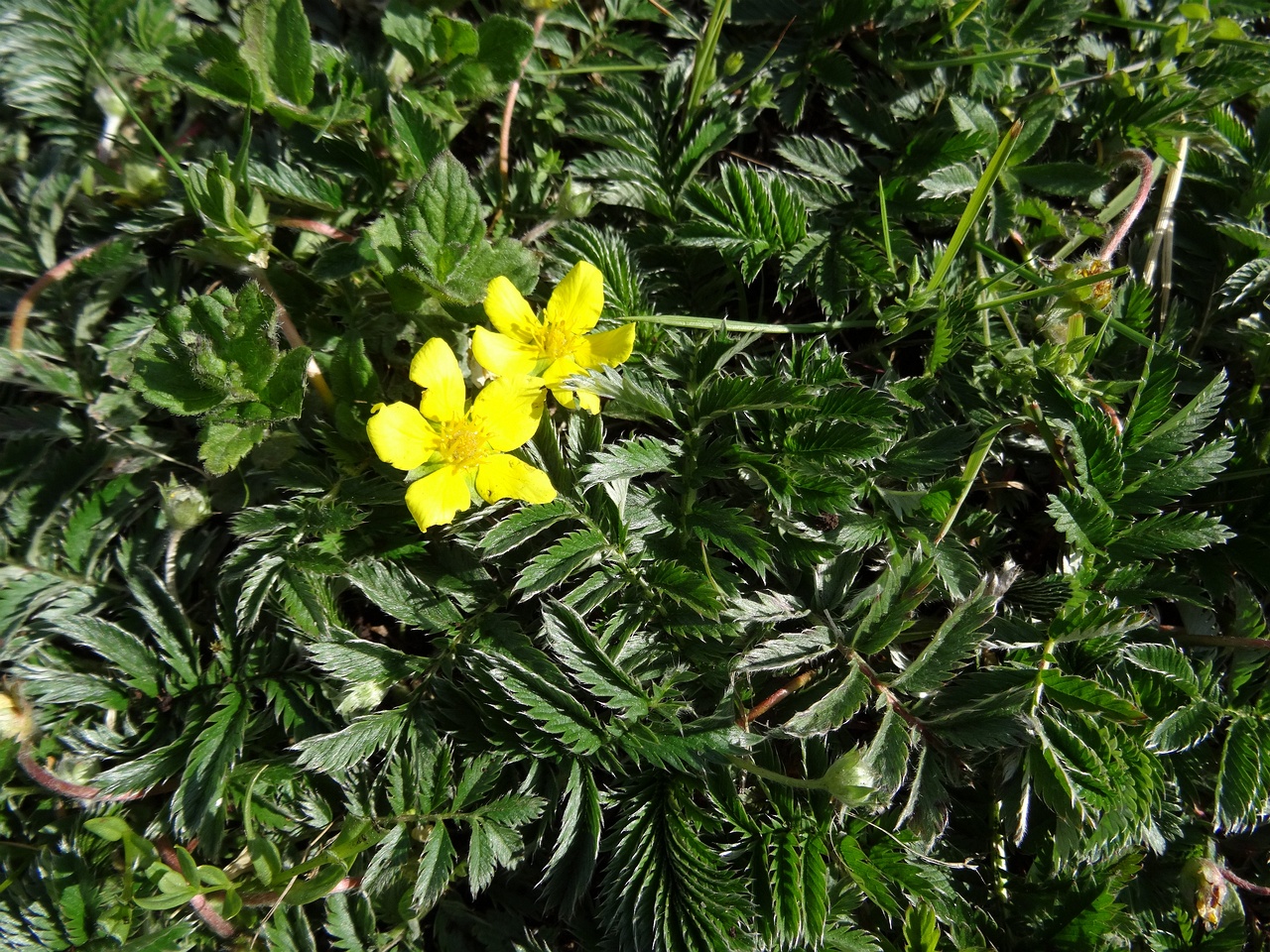 DSC03357