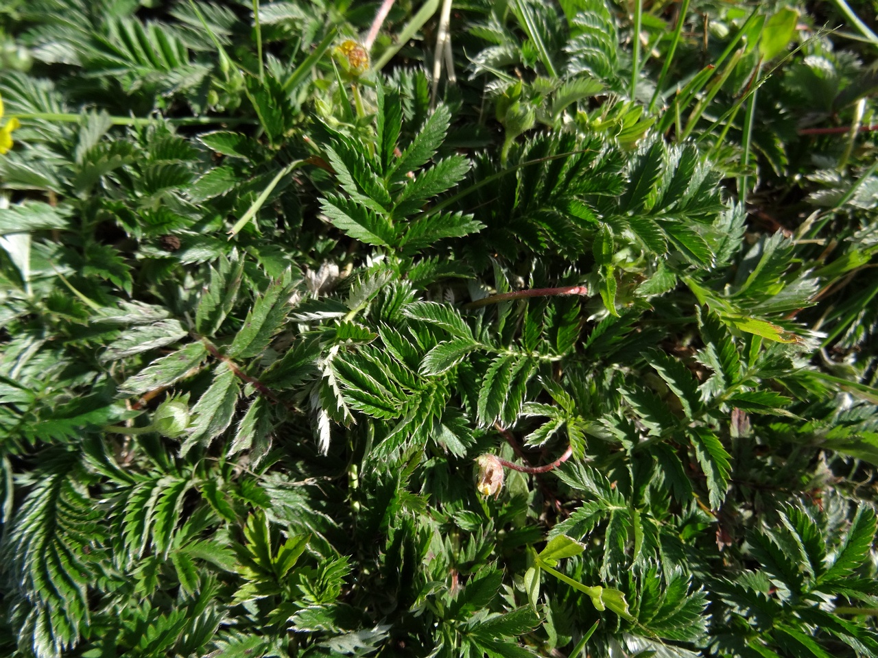 DSC03359