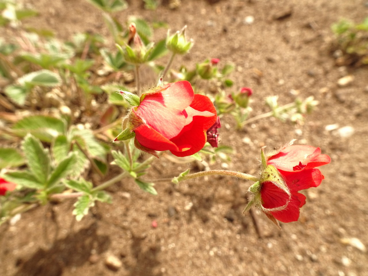 DSC04069
