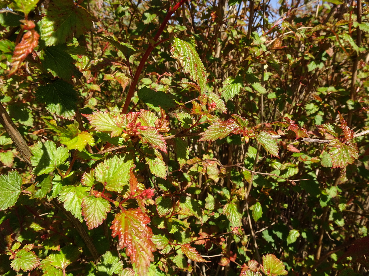 DSC02845