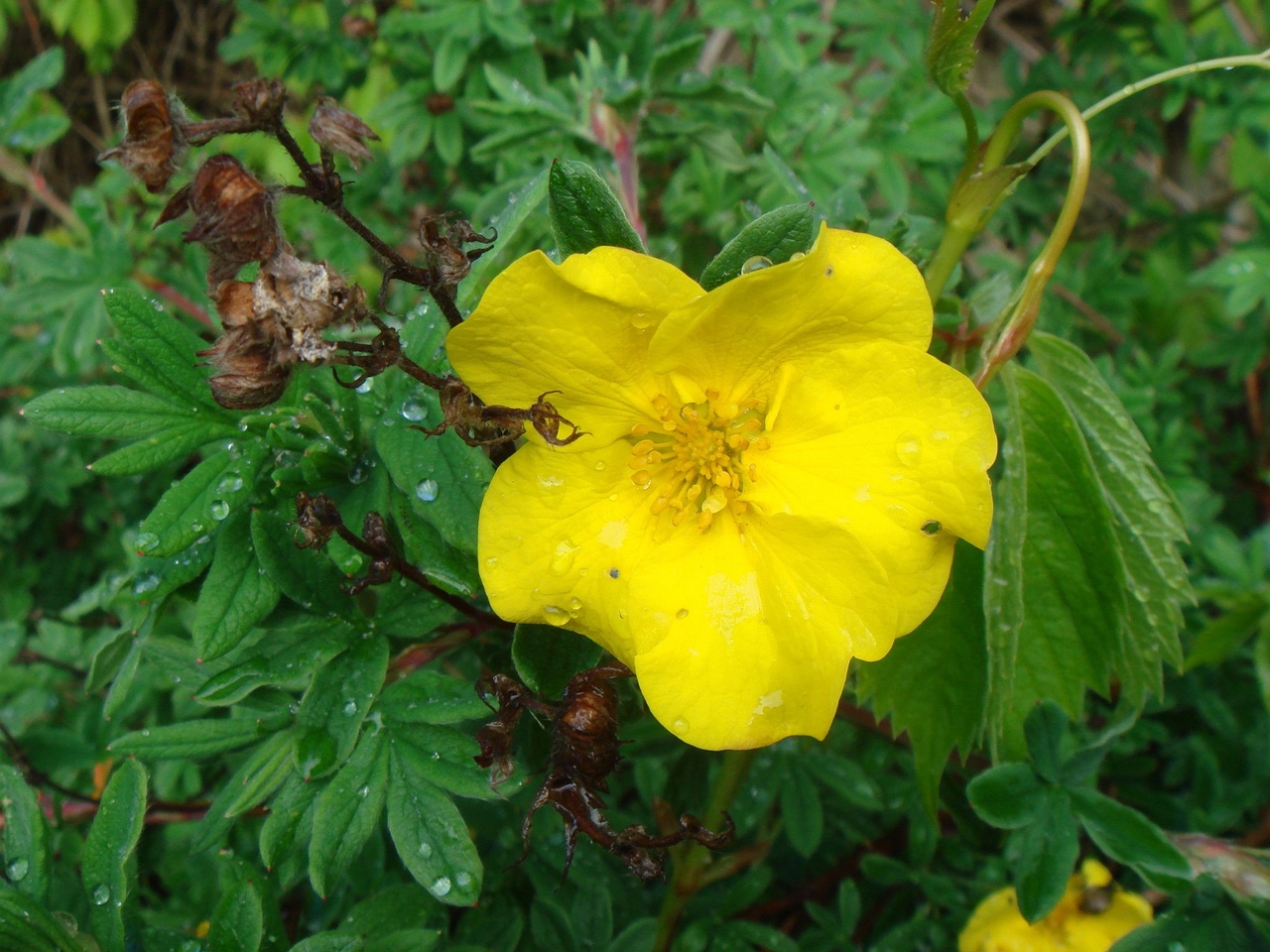 DSC01309