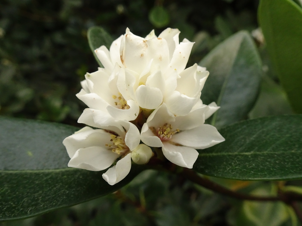 0DSC08048