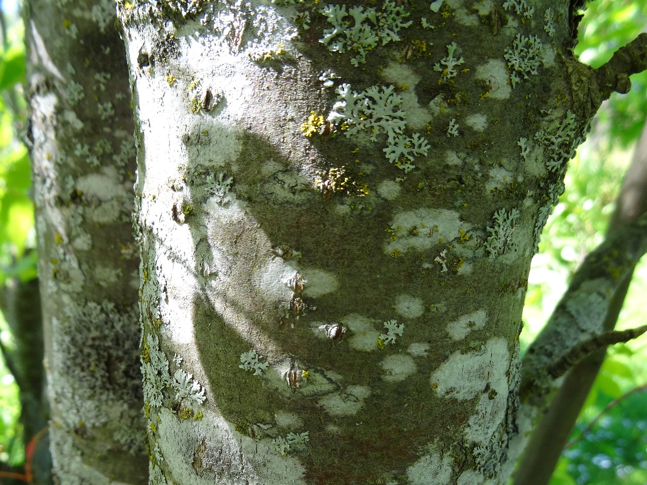 DSC04353