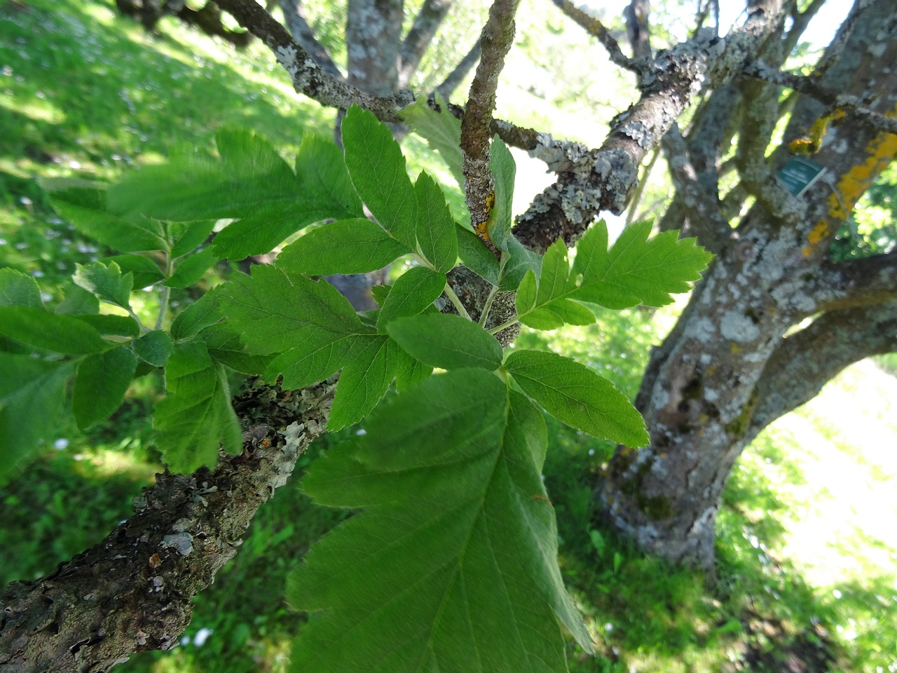 DSC04298