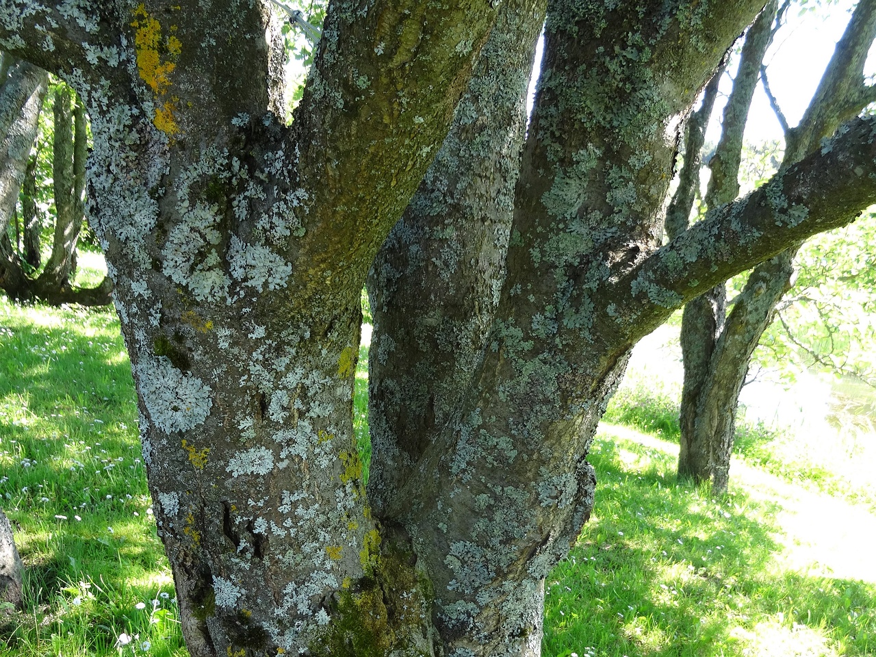 DSC04300