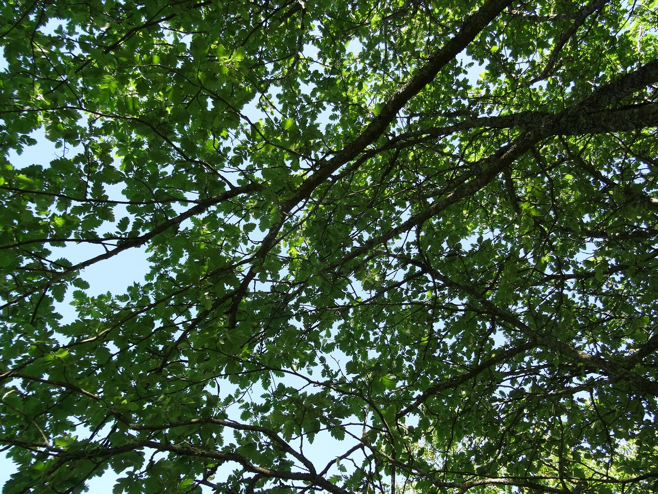 DSC04302