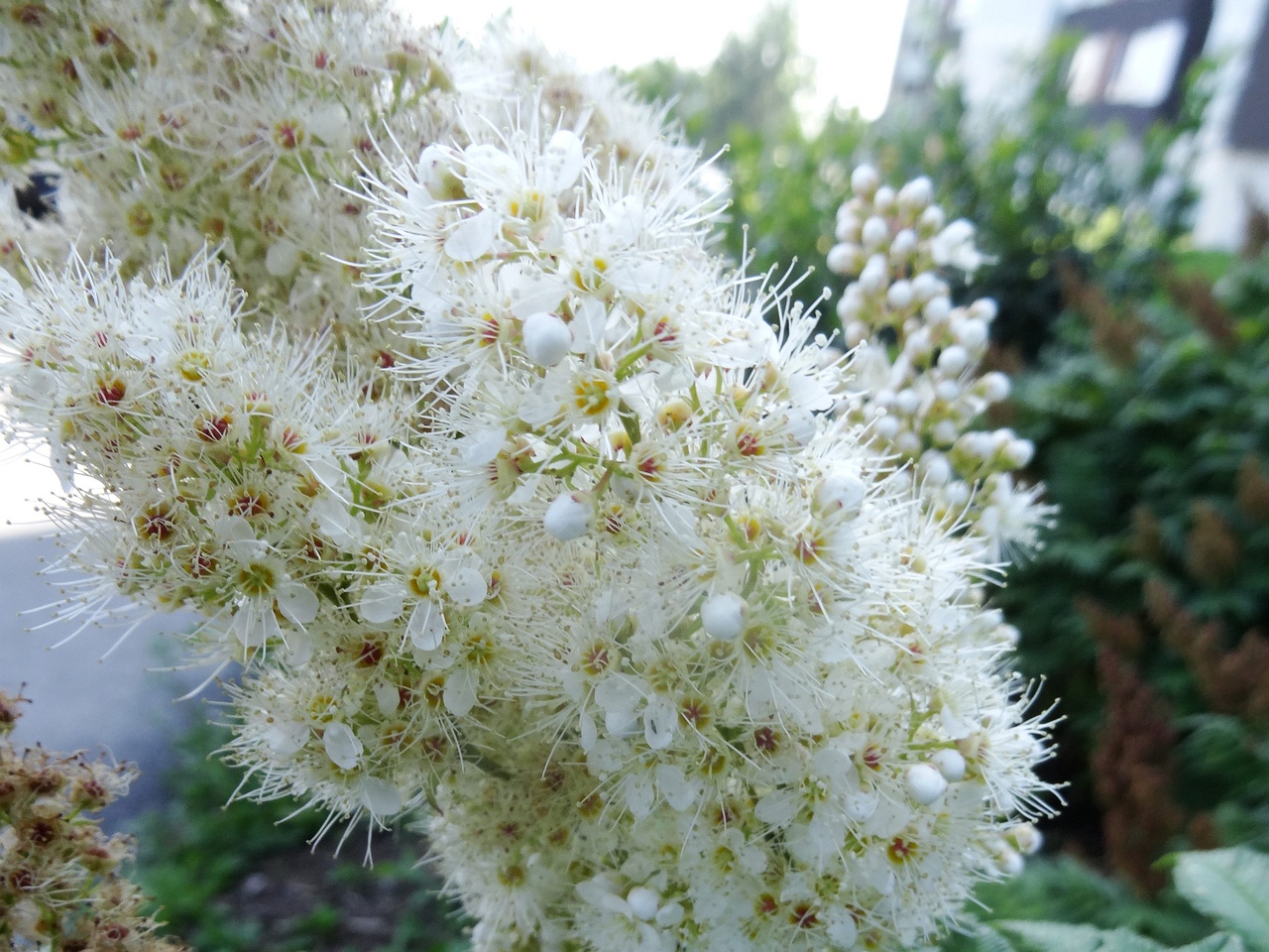 DSC02299