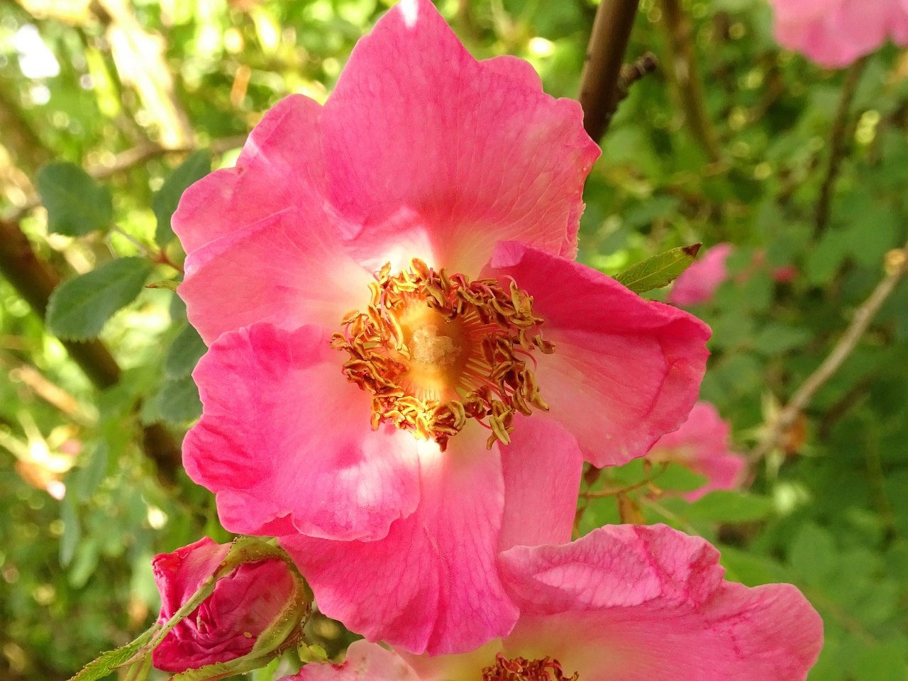 DSC09359
