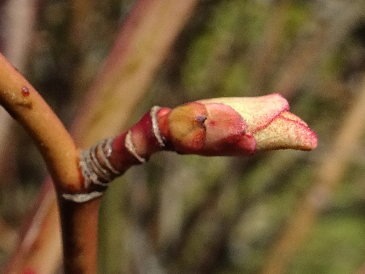 DSC05751_