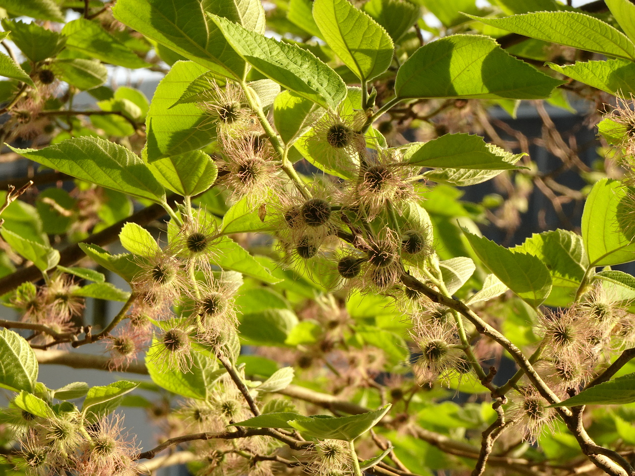 DSC01695