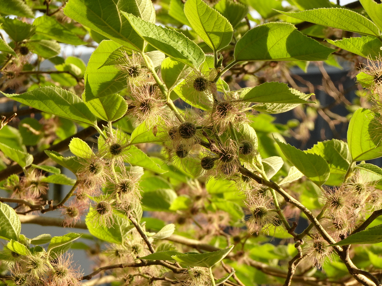 DSC01696
