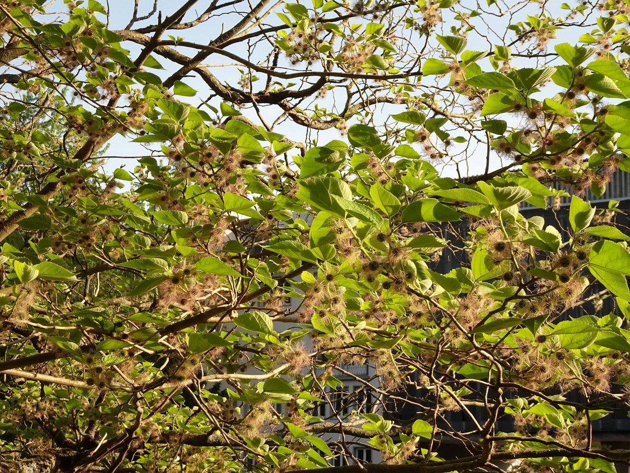 DSC01697