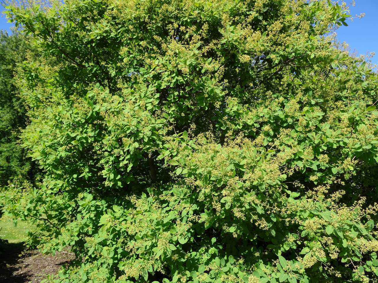 DSC04475
