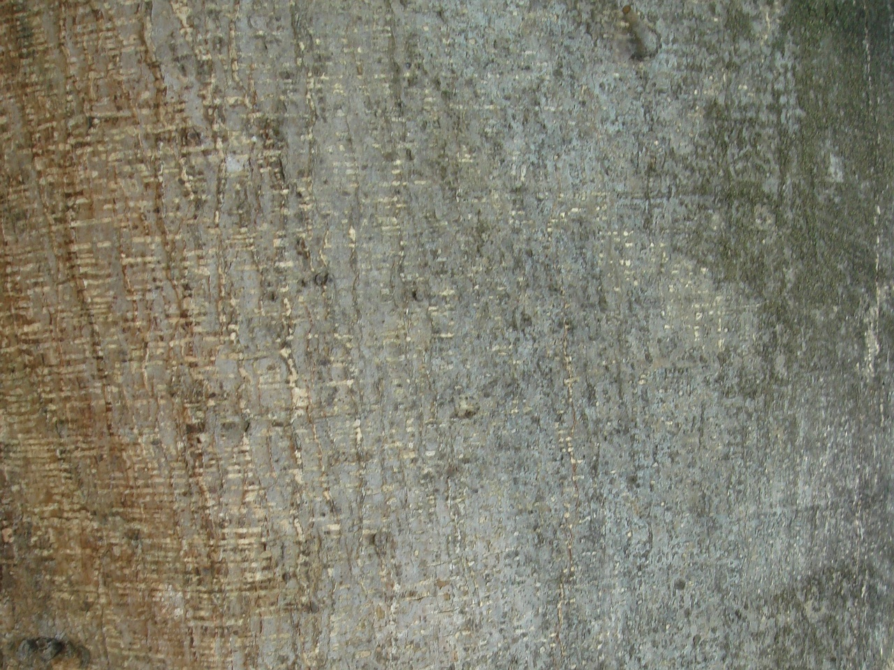 DSC05800