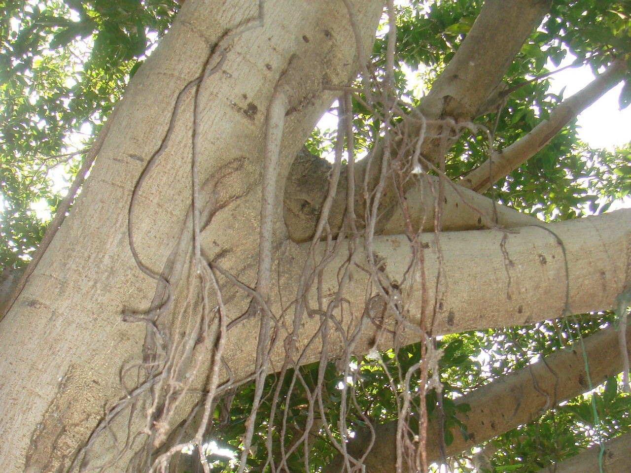 DSC05801