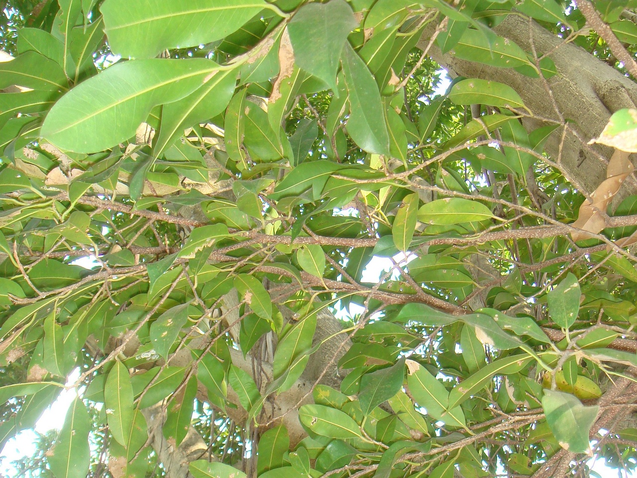 DSC05802