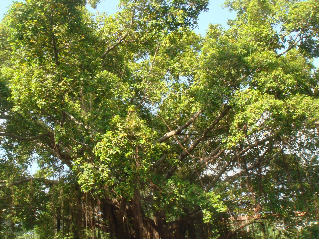 DSC05812