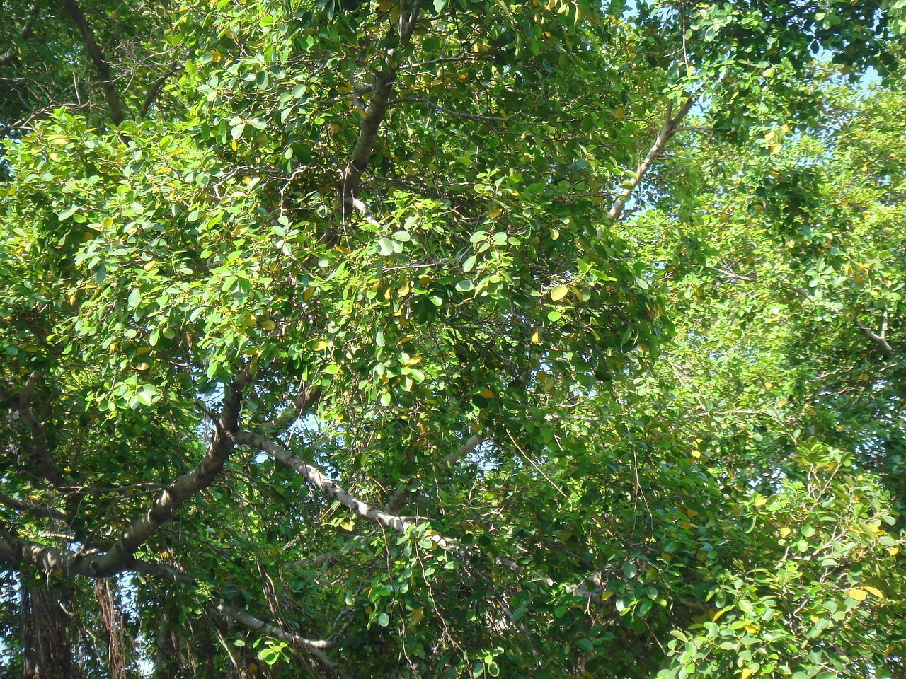 DSC05813