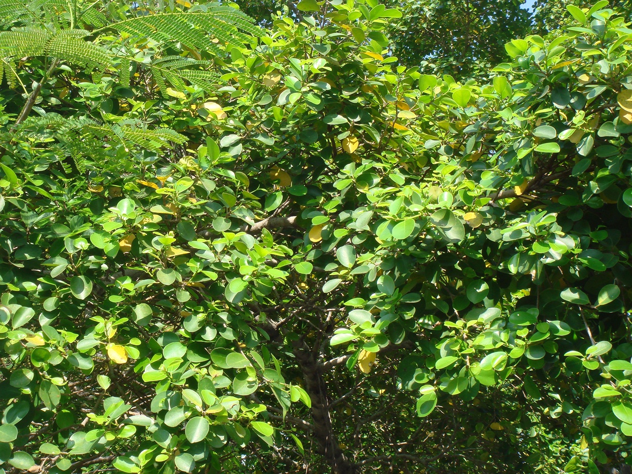 DSC05814
