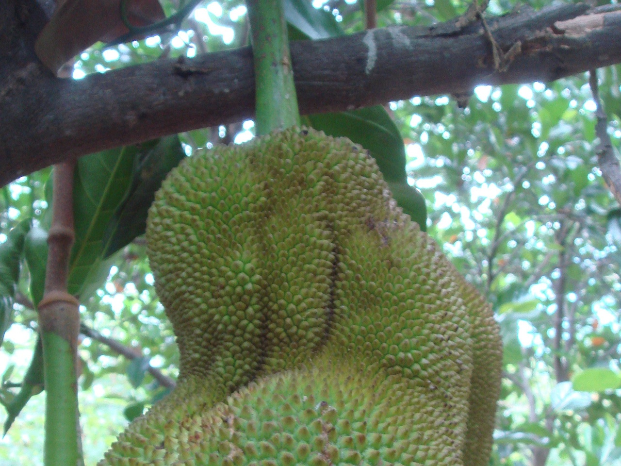 DSC05165