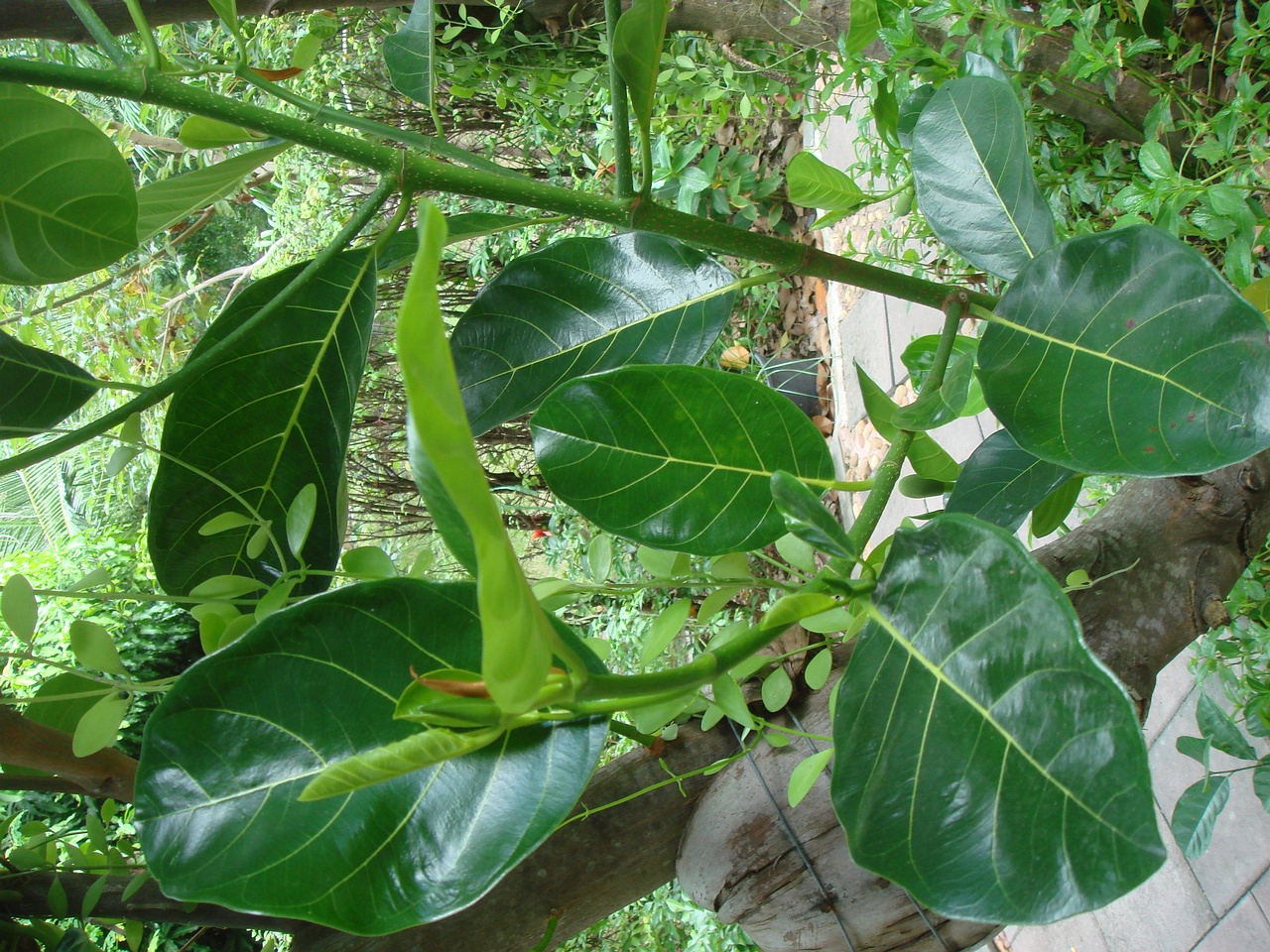 DSC05166