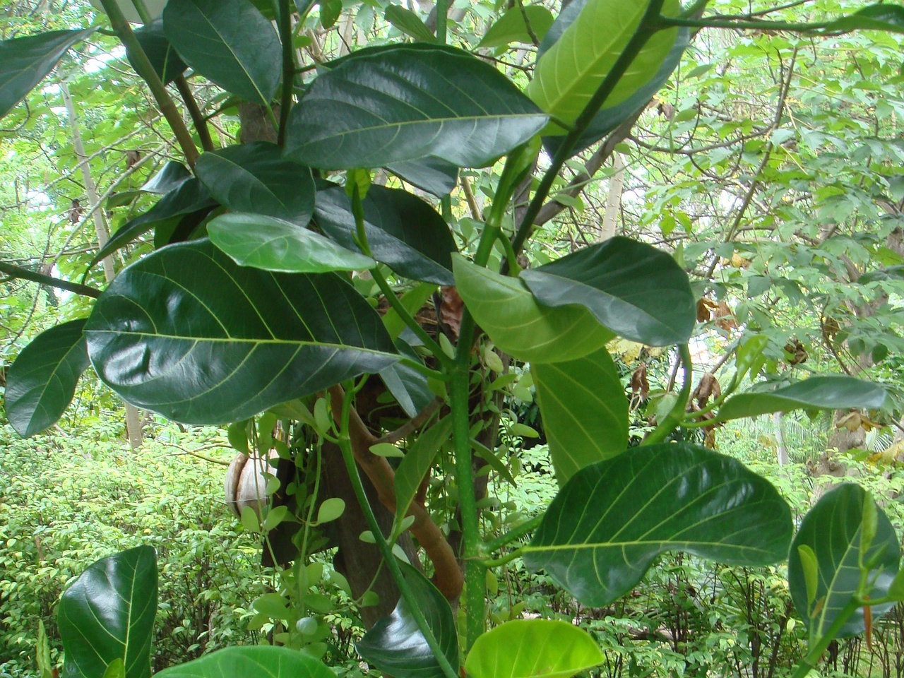 DSC05167