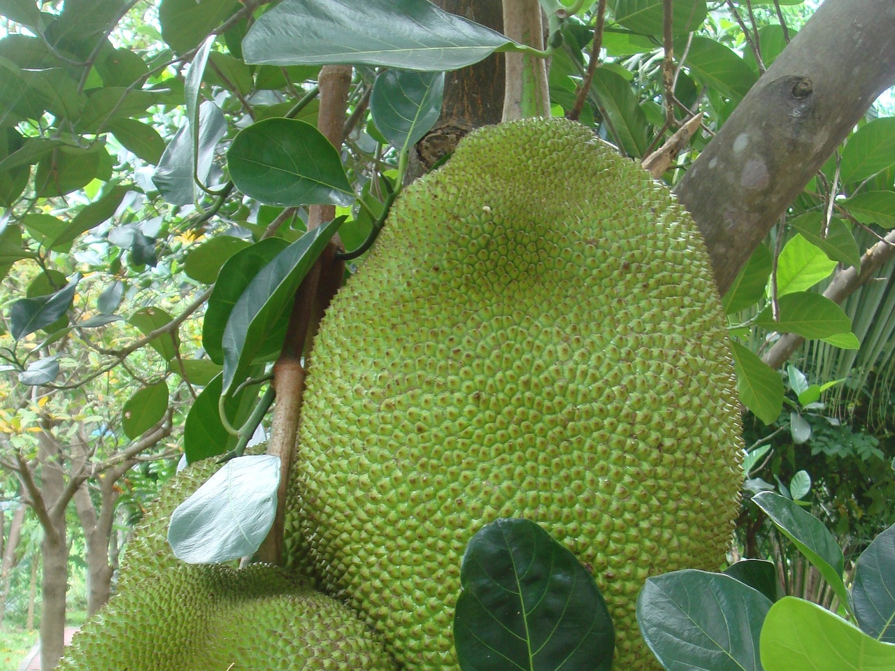 DSC05183