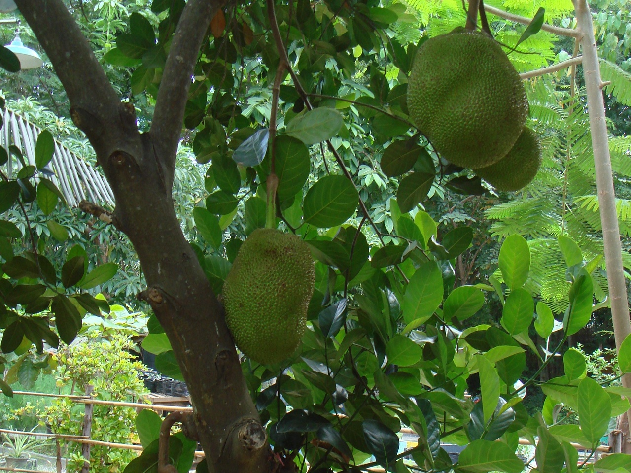 DSC05189