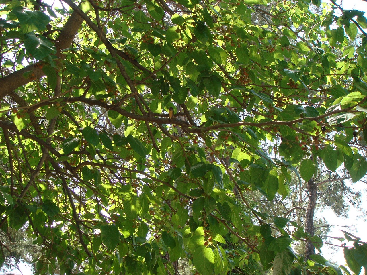 DSC07581