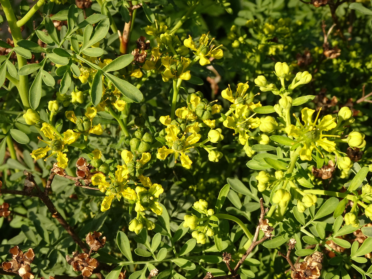 DSC01660
