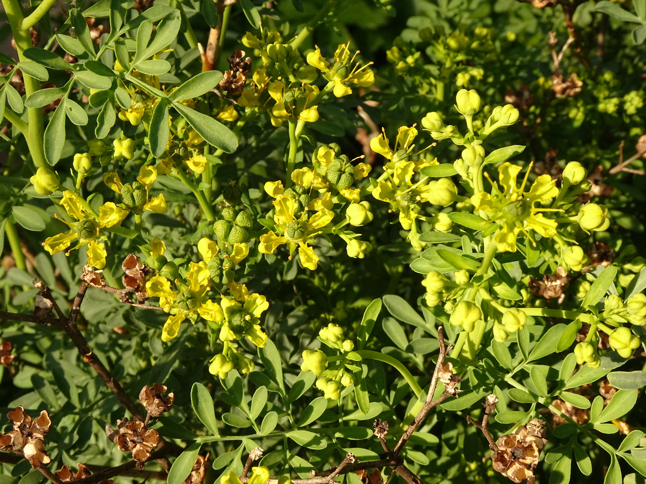 DSC01661