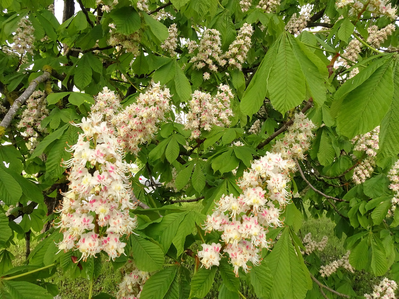 0DSC02256
