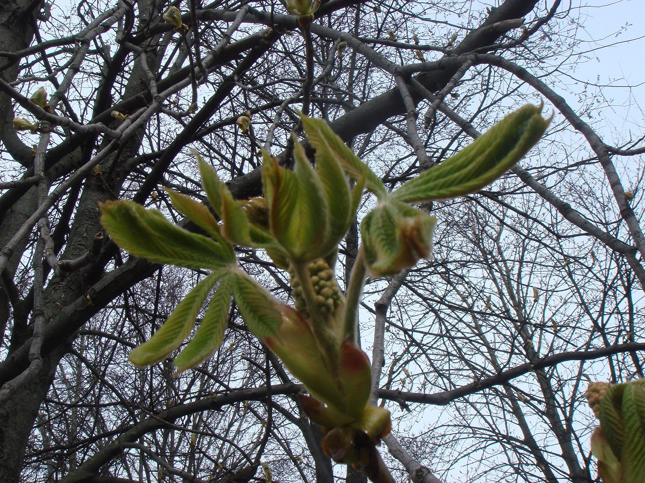 DSC00091