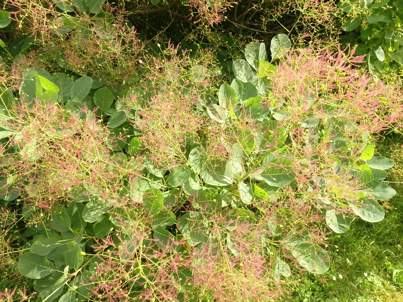 0DSC04395