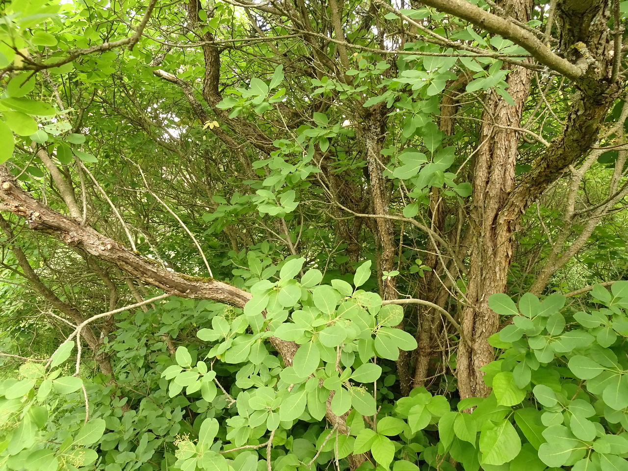 DSC04404