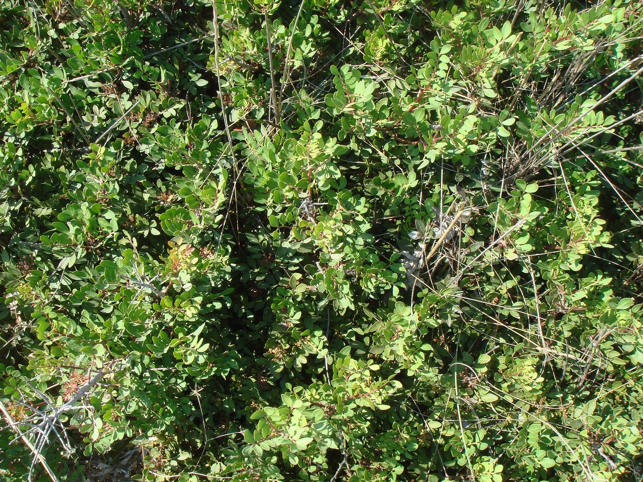 DSC02660