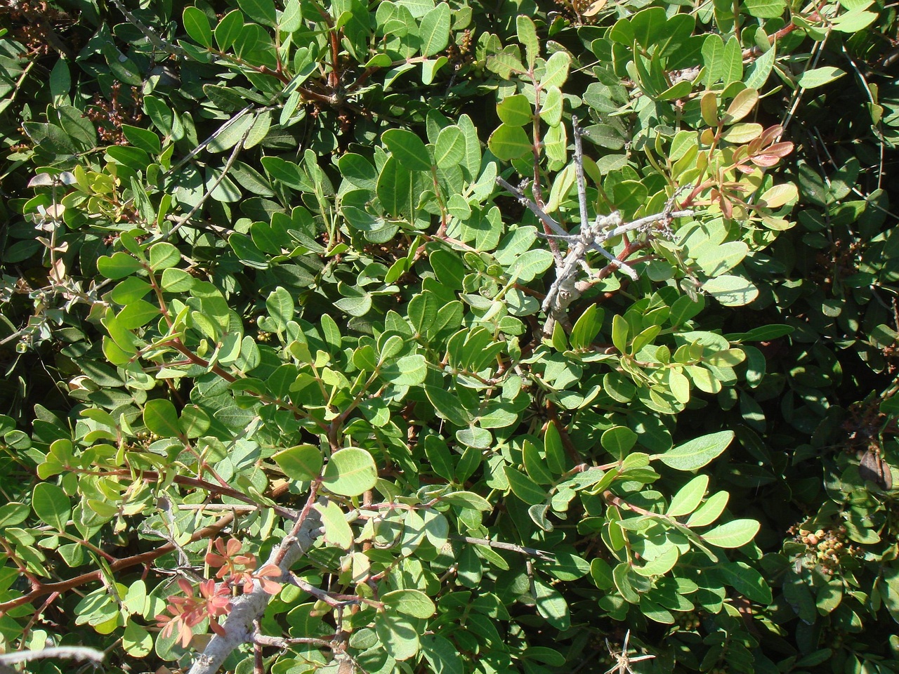 DSC02661