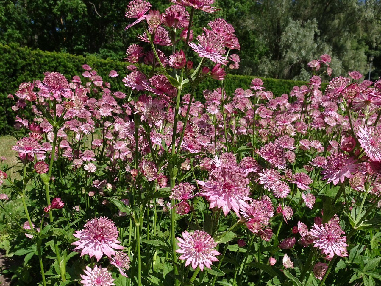 DSC08640