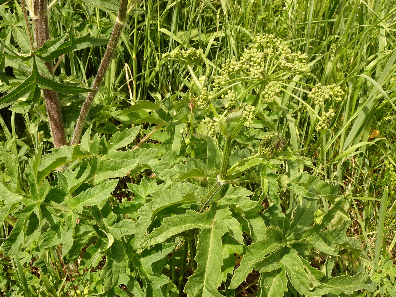 DSC03846