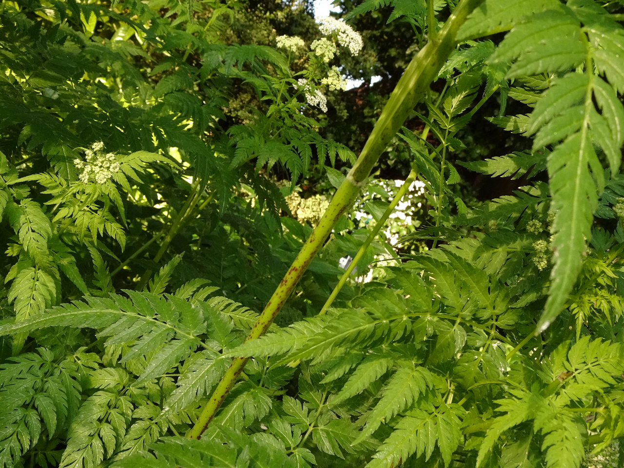 DSC01728