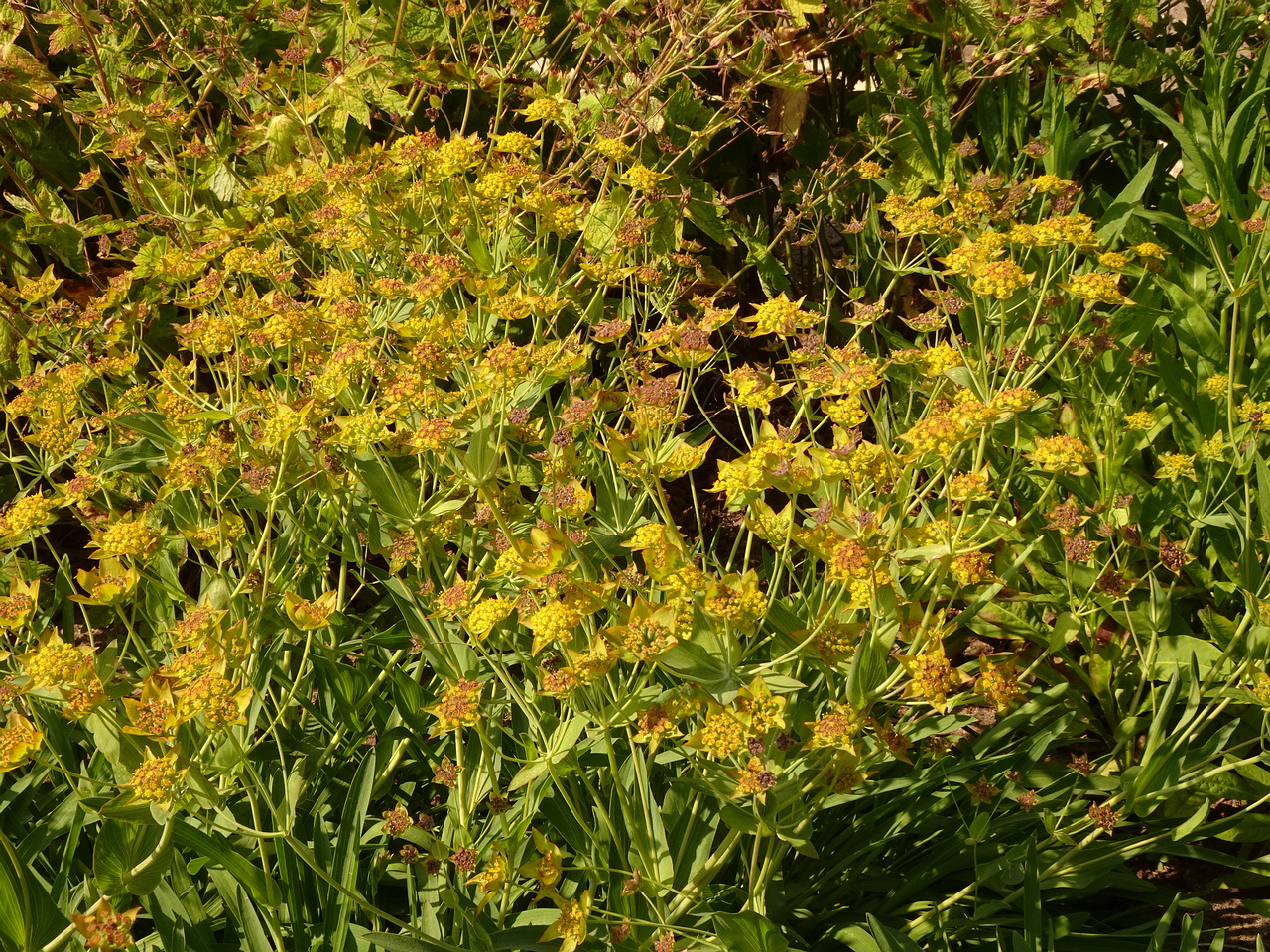 DSC04374