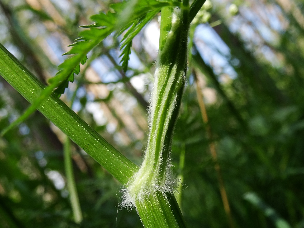 DSC00357