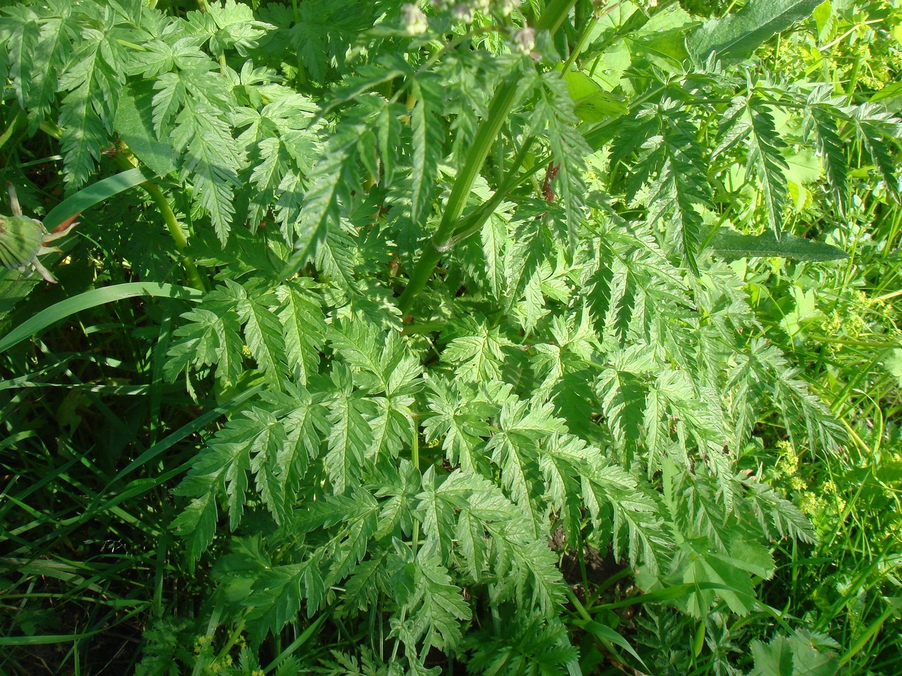 DSC01036