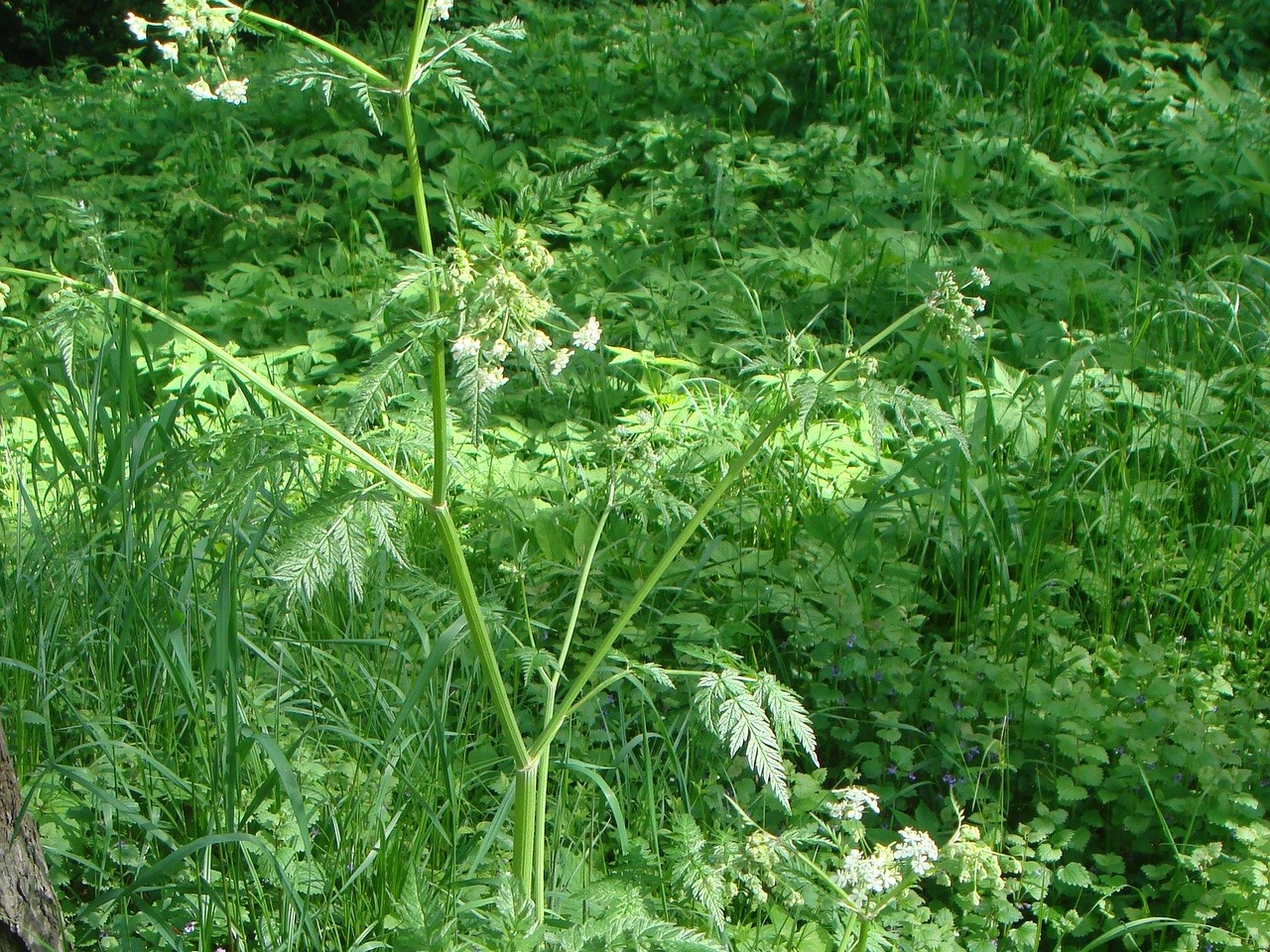 DSC01282