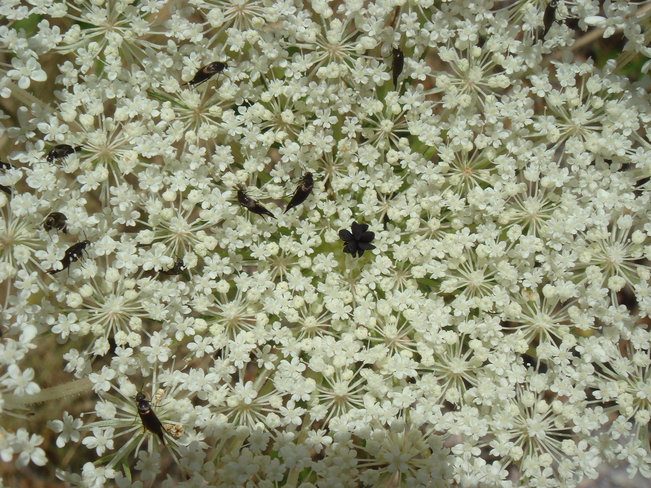 DSC02568