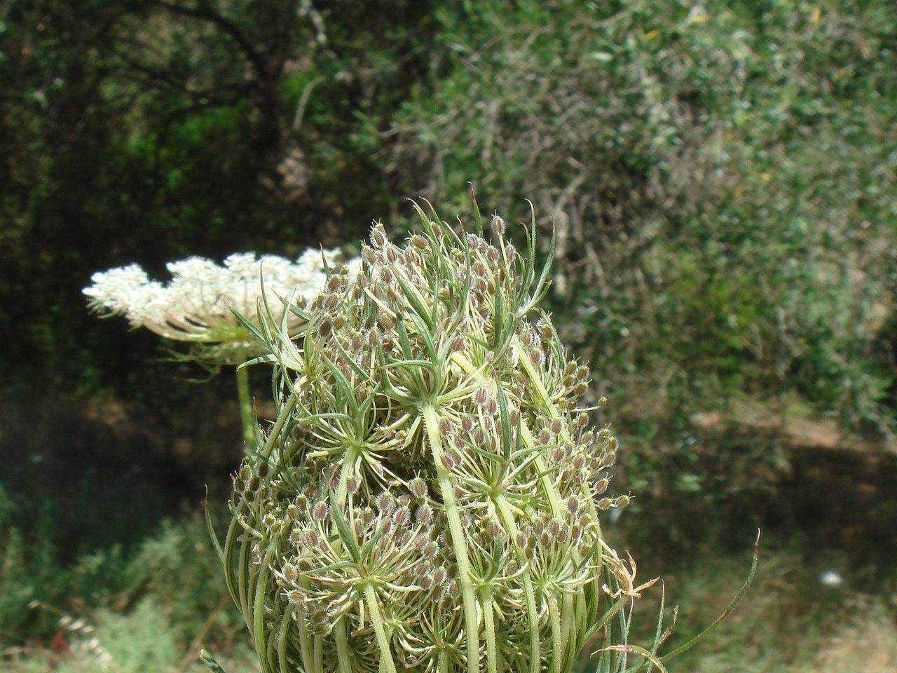 DSC02612