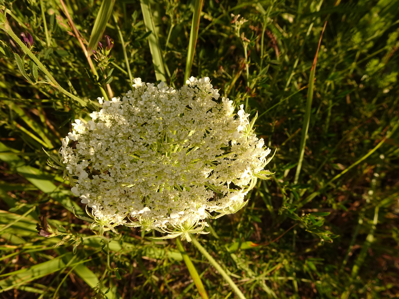 DSC04560