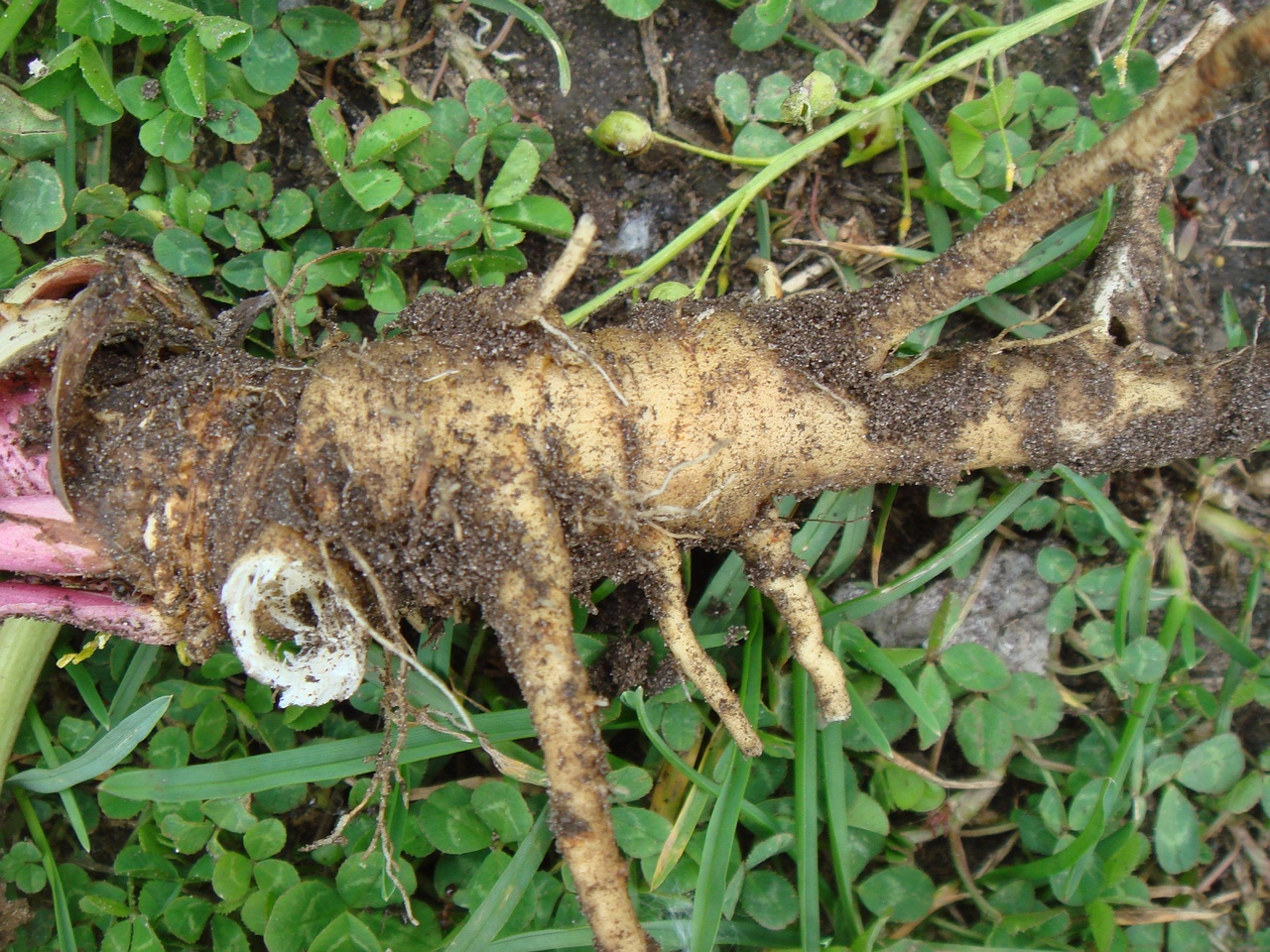 DSC00719