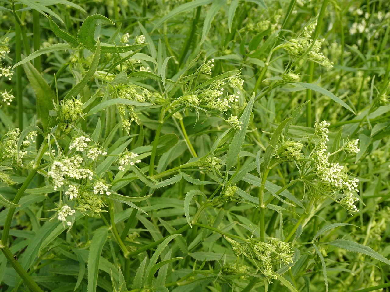 DSC04157