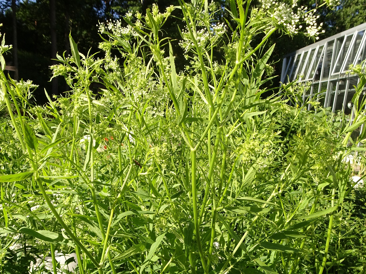 DSC09740